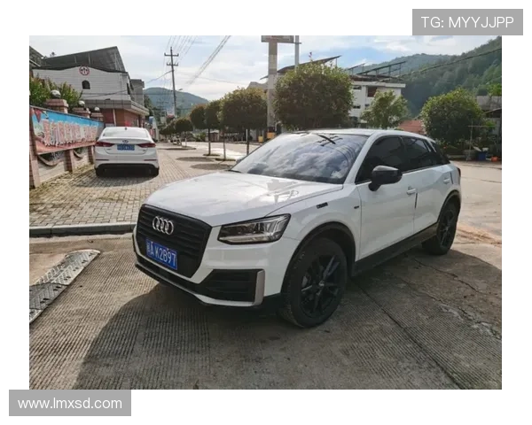 18万入手“低配”奥迪Q2，开了860公里，车主表示有话要说